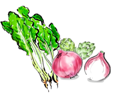 野菜のイラスト